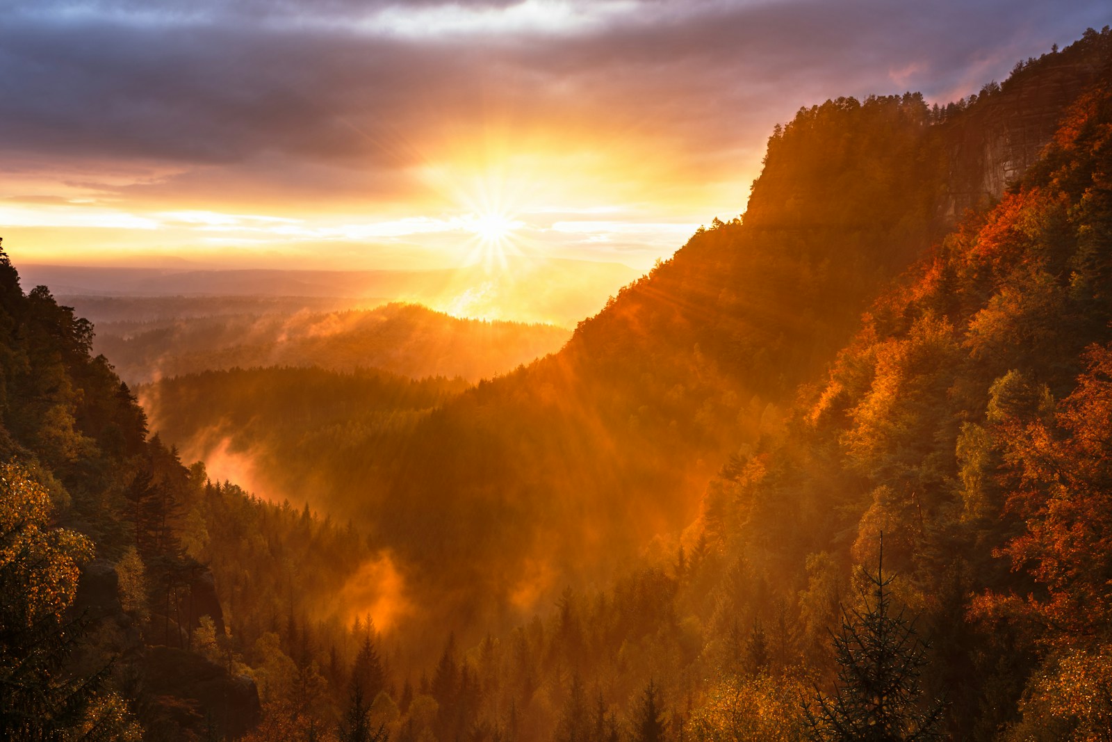 Photo by Artem Sapegin mountains and tree range during golden hour