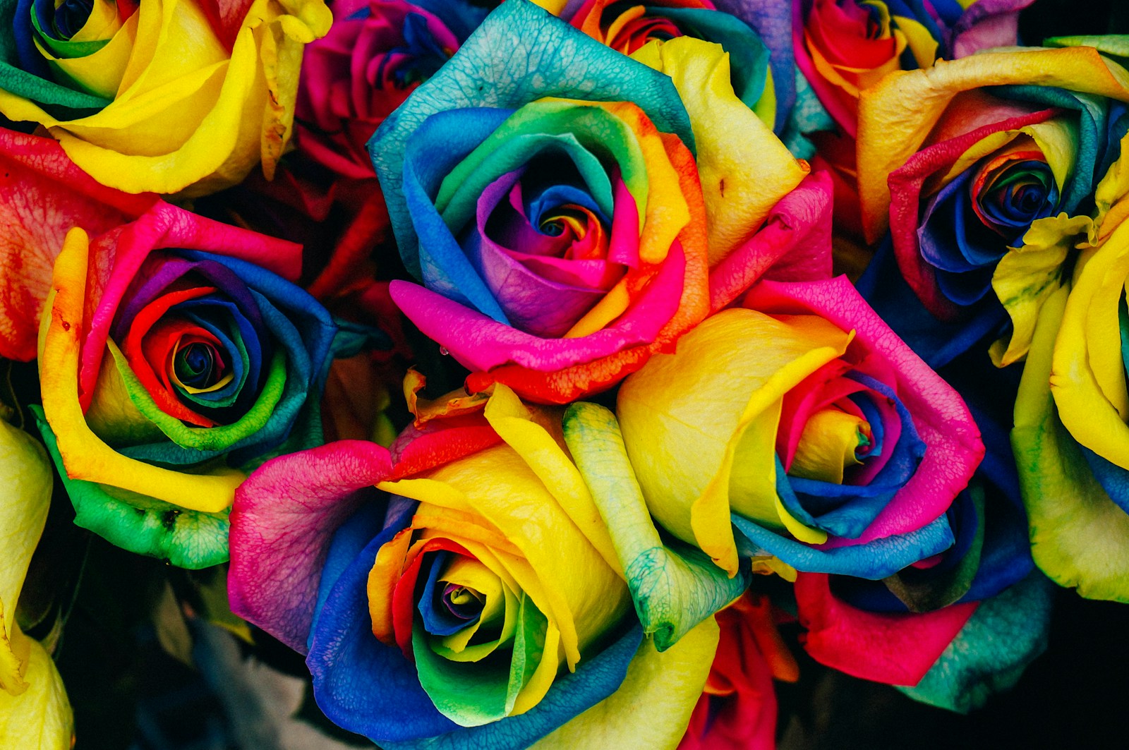 Photo by Denise Chan assorted-color petaled flowers